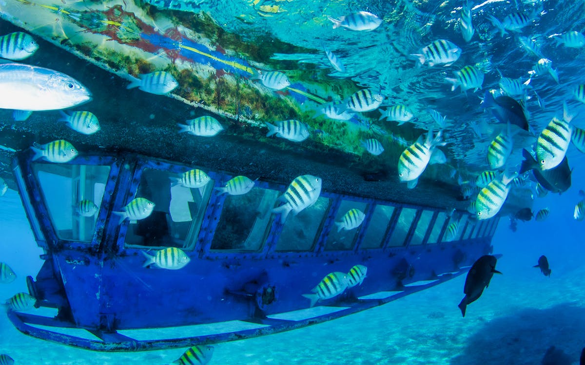 subsee explorer tour in cancun-4 subsee explorer tour in cancun-4