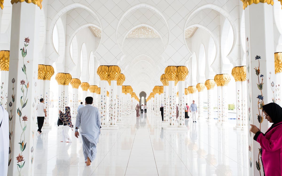 from dubai: guided city tour of abu dhabi with louvre abu dhabi tickets & lunch-7 from dubai: guided city tour of abu dhabi with louvre abu dhabi tickets & lunch-7