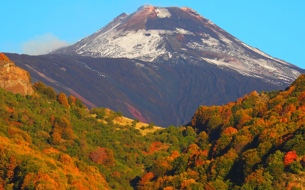 Mount Etna with autumn foliage, Sicily, Italy, part of a Jeep tour with wine tasting.