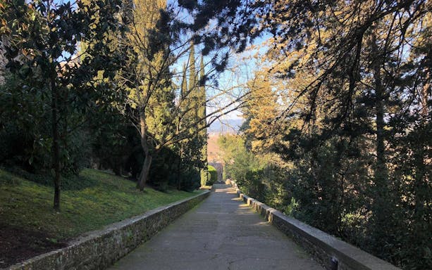 Pathway lined with trees in Girona, Spain, part of the Monumental Girona Tour.