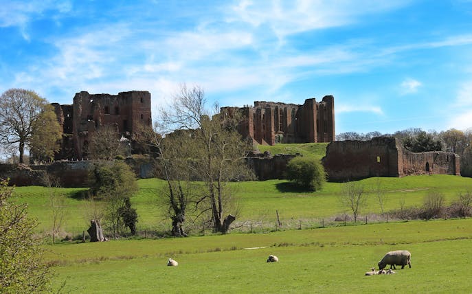 Kenilworth Castle ruins with sheep grazing in the foreground, Warwickshire, England.