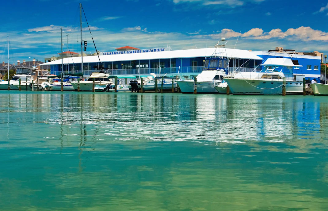 Clearwater aquarium