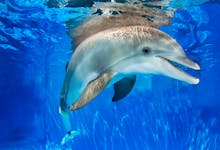 Clearwater Aquarium