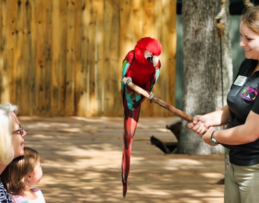 Central florida zoo & botanical gardens