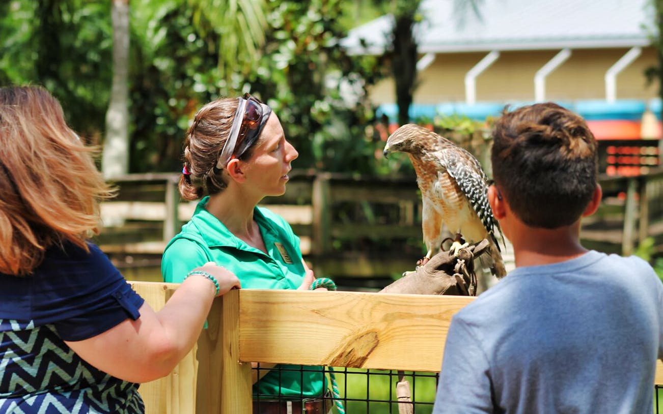 Zoo guide showing a hawk to visitors at Central Florida Zoo & Botanical Gardens.