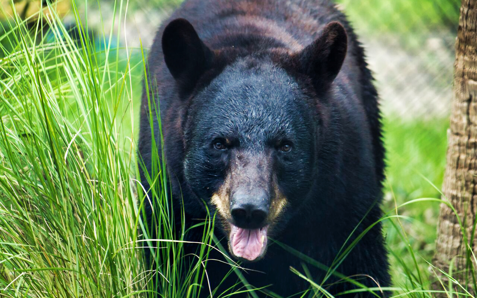Central florida zoo & botanical gardens