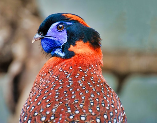 Best Time to Visit - February