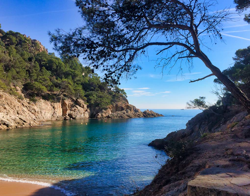 things to do in barcelona