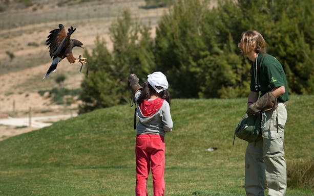 Child interacting with a bird of prey at Sendaviva Natural Park.