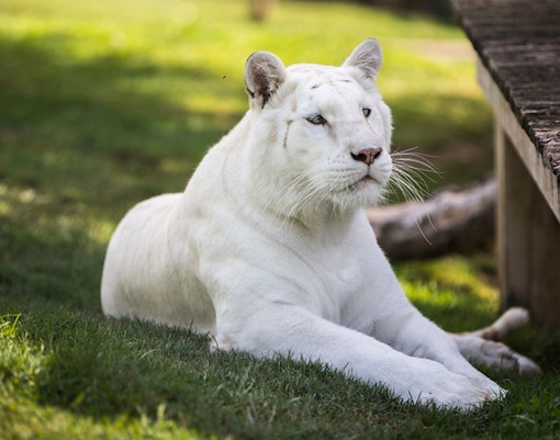 Sendaviva Natural Park tickets