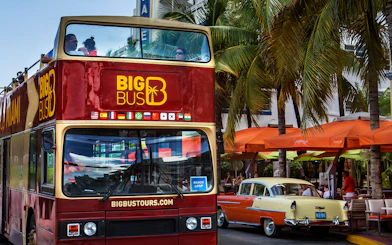 Hop On Hop Off bus in Miami passing by palm trees and outdoor cafes.