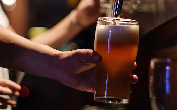 Hand pouring beer into a glass during a brewery tour with lunch and tasting.