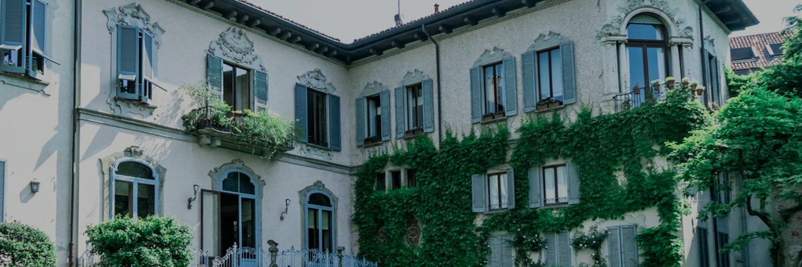 Visites guidées du vignoble de Léonard de Vinci