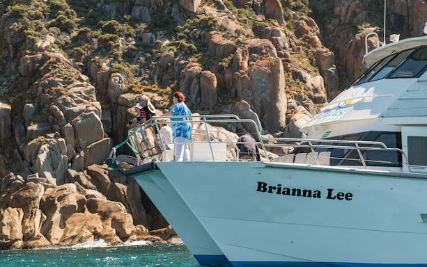 Cruise ship near rocky coastline at Wilsons Promontory, passengers enjoying the view.
