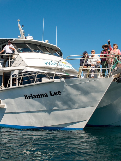 Tourists on a whale-watching cruise boat near Phillip Island.