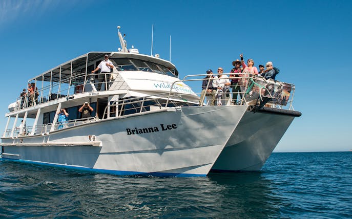 Tourists on a whale-watching cruise boat near Phillip Island.