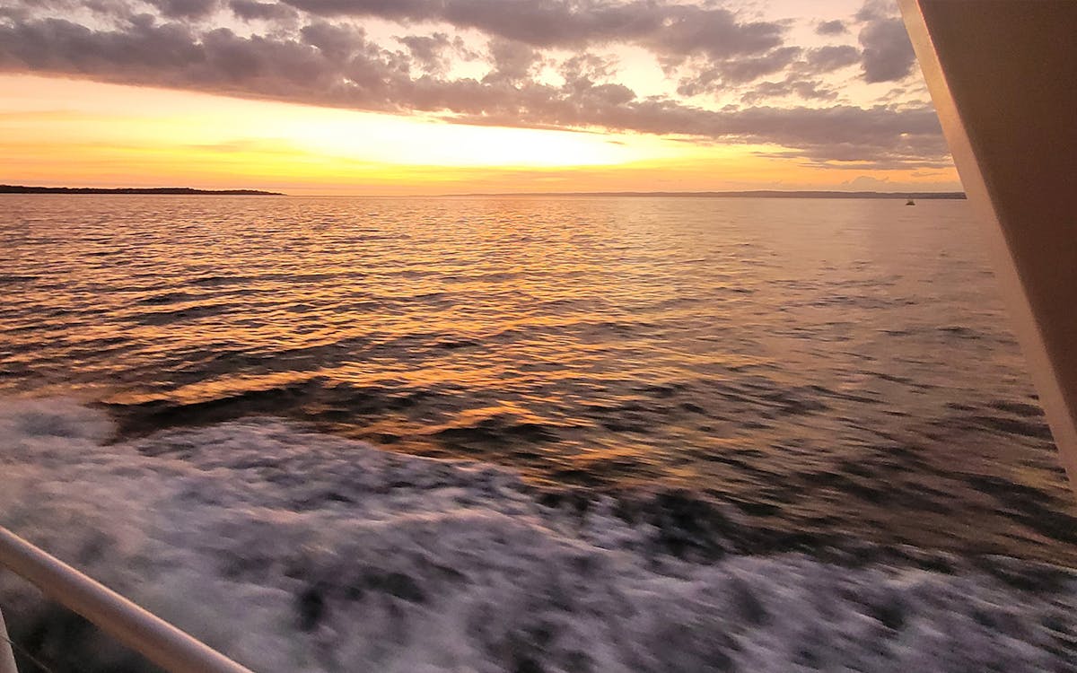 sunset sightseeing cruise at philip island-5 sunset sightseeing cruise at philip island-5