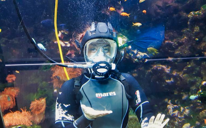 Diver in aquarium tank at Acquario di Cattolica surrounded by colorful fish.
