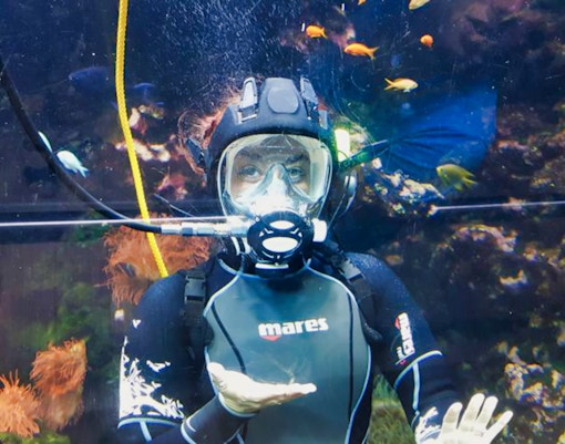 Cattolica aquarium - Violet Route