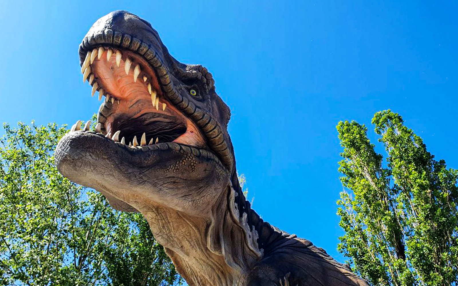 Dinosaur sculpture at Acquario di Cattolica against a clear blue sky.