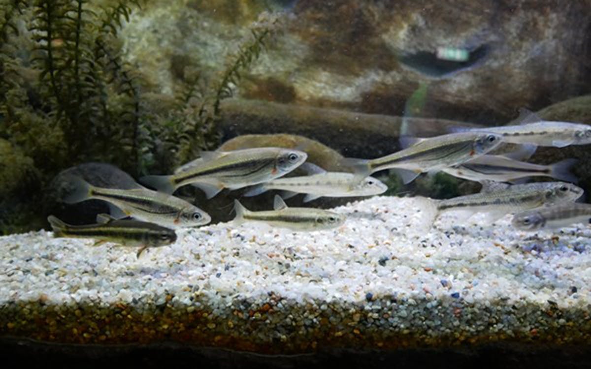 entrada sea life múnich-2 entrada sea life múnich-2