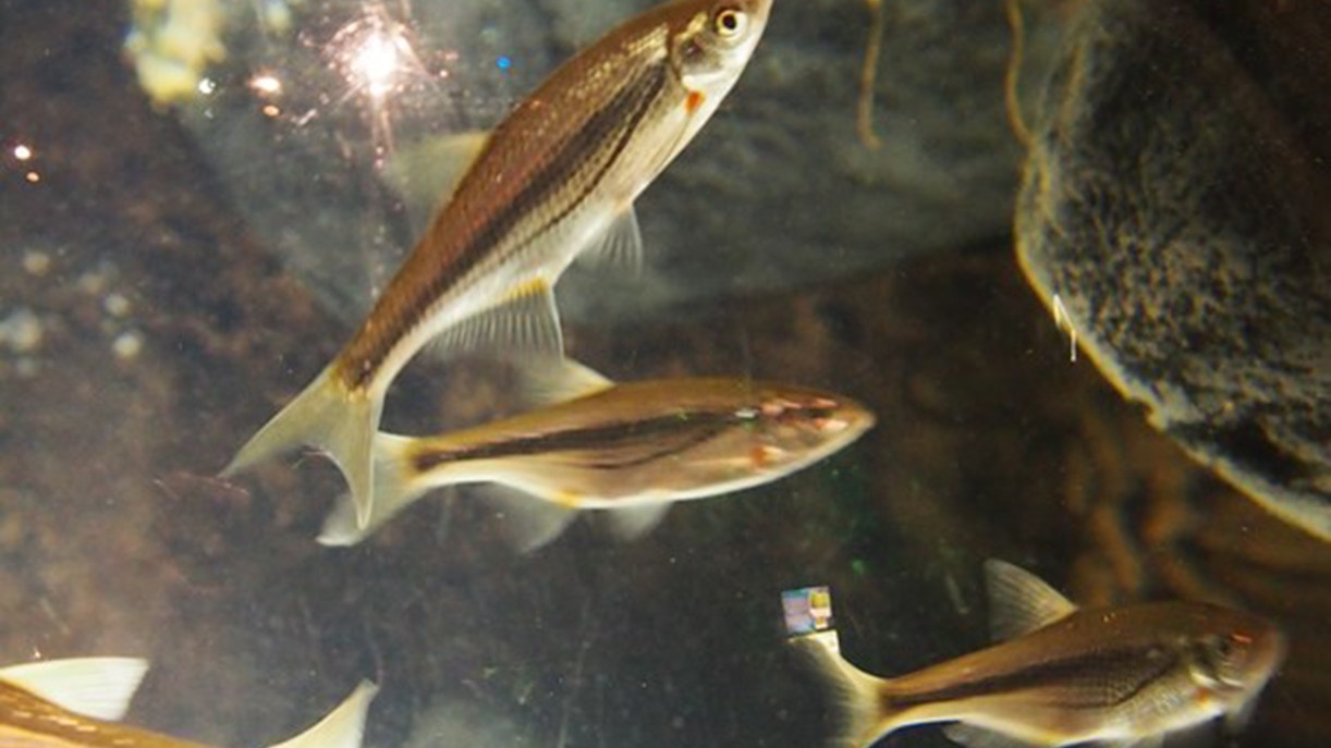 SEA LIFE Munich