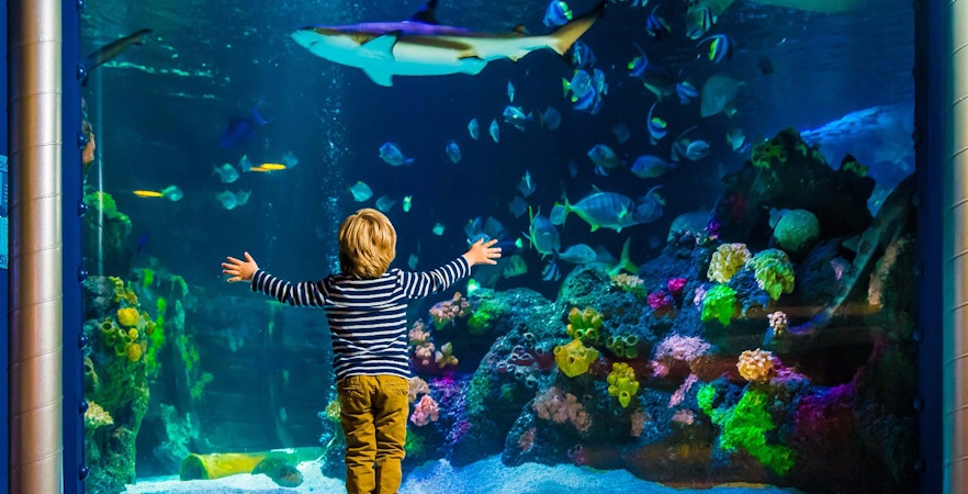 SEA LIFE Munich Tickets