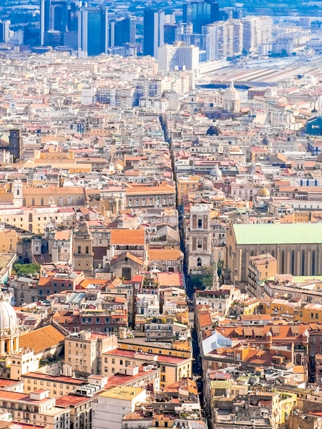 Aerial view of Naples cityscape, highlighting historic architecture and urban layout.