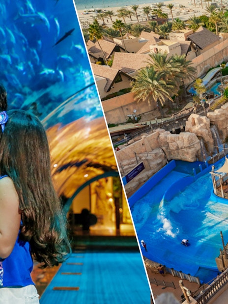 Children observing marine life at Dubai Aquarium and aerial view of Wild Wadi Water Park.