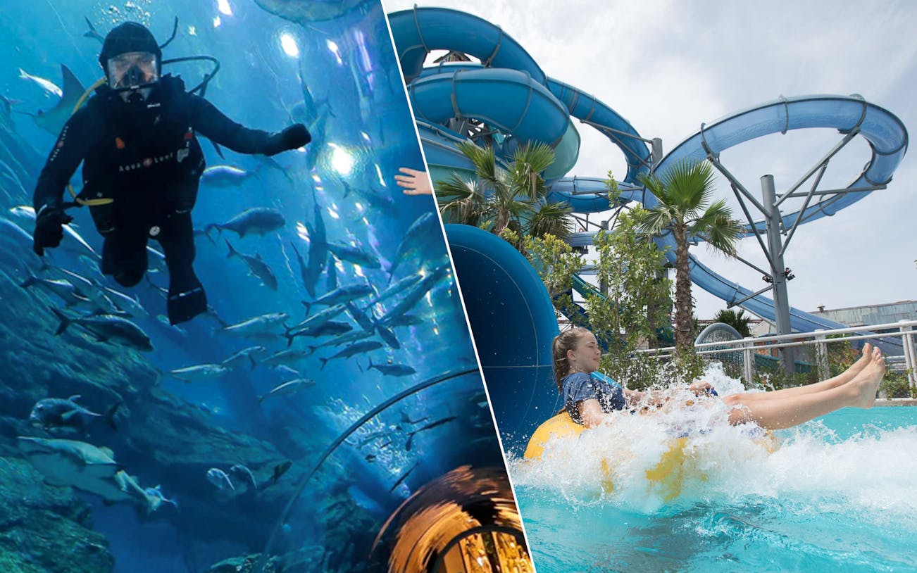 Diver in Dubai Aquarium and person on water slide at Laguna Waterpark.