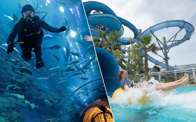 Diver in Dubai Aquarium and person on water slide at Laguna Waterpark.