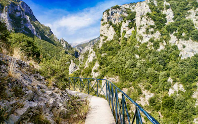Pathway through lush green mountains at Mount Olympus, Greece.