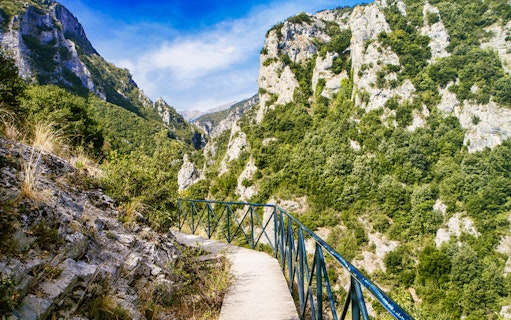 Pathway through lush green mountains at Mount Olympus, Greece.