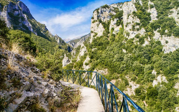 Pathway through lush green mountains at Mount Olympus, Greece.