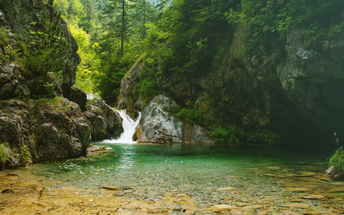 Waterfall and clear pool in lush forest at Mount Olympus, Greece.