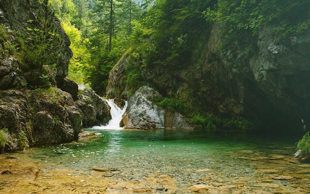 Waterfall and clear pool in lush forest at Mount Olympus, Greece.