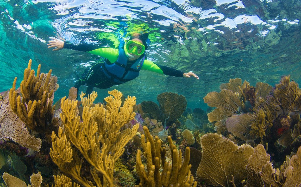 Snorkelers exploring vibrant coral reef and underwater sculptures at MUSA, Cancún.