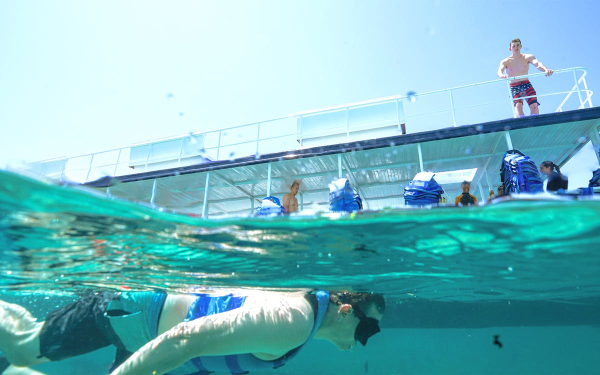 paradise snorkel reef and musa cancún tickets-3 paradise snorkel reef and musa cancún tickets-3
