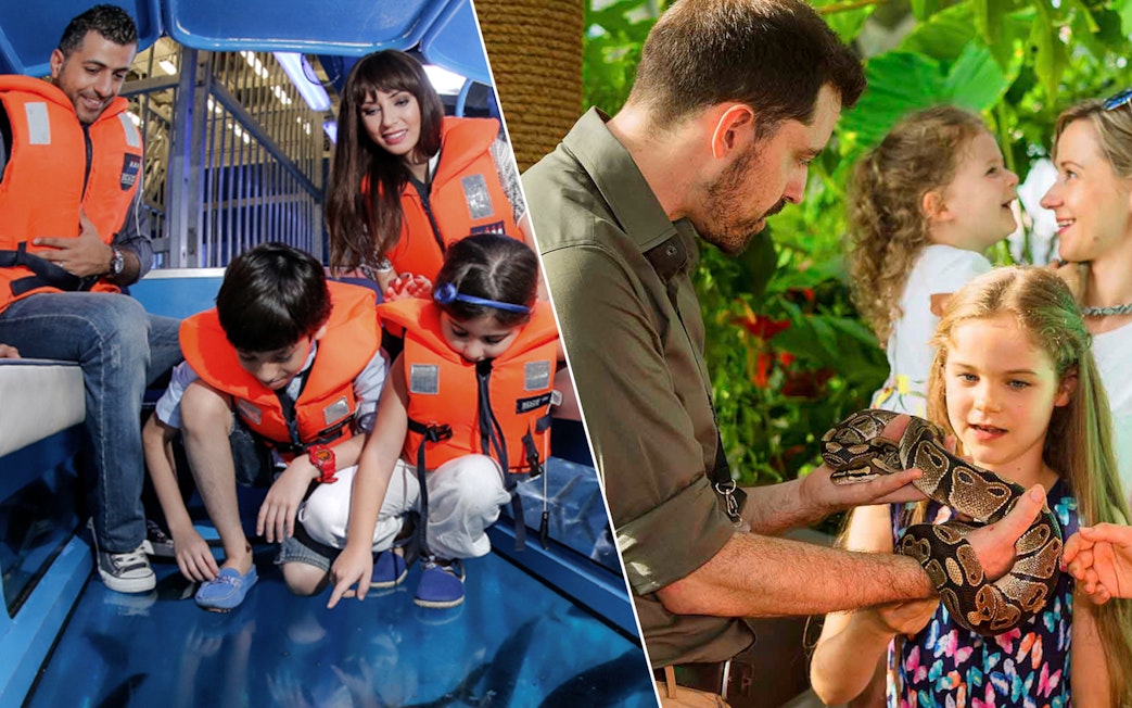 Family exploring Dubai Aquarium and interacting with wildlife at Green Planet.