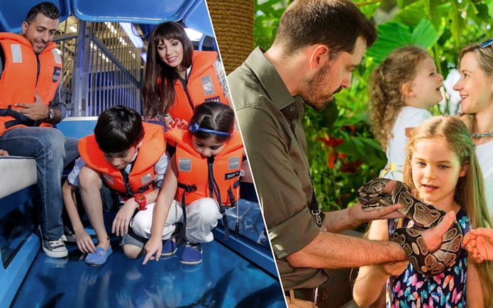 Family exploring Dubai Aquarium and interacting with wildlife at Green Planet.