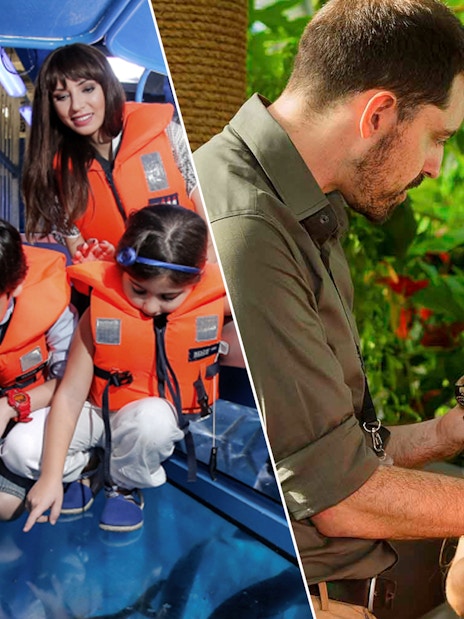 Family exploring Dubai Aquarium and interacting with wildlife at Green Planet.