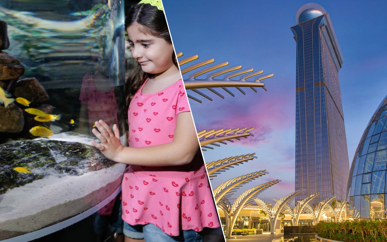 Child observing fish at Dubai Aquarium; view of Dubai Frame and The Palm.
