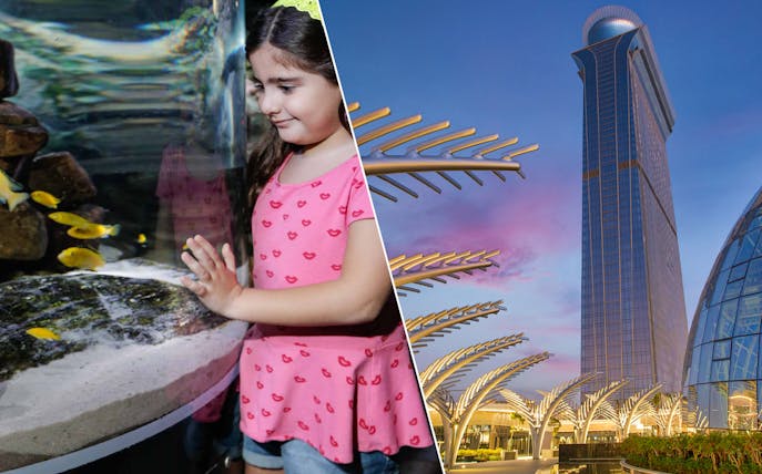 Child observing fish at Dubai Aquarium; view of Dubai Frame and The Palm.