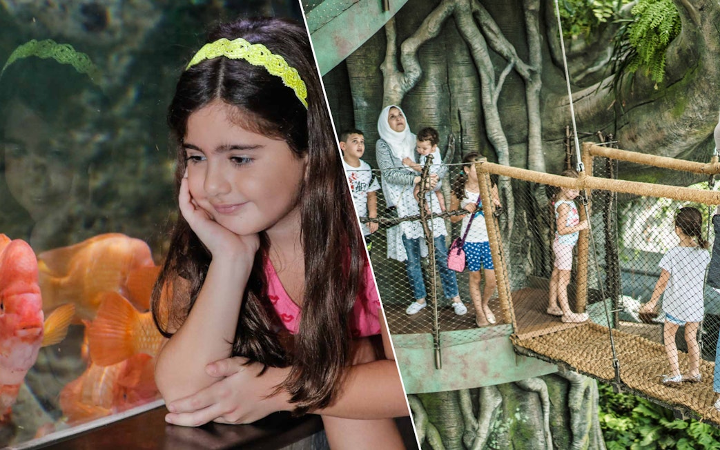 Child observing fish at Dubai Aquarium; family exploring Green Planet's treetop walkway.