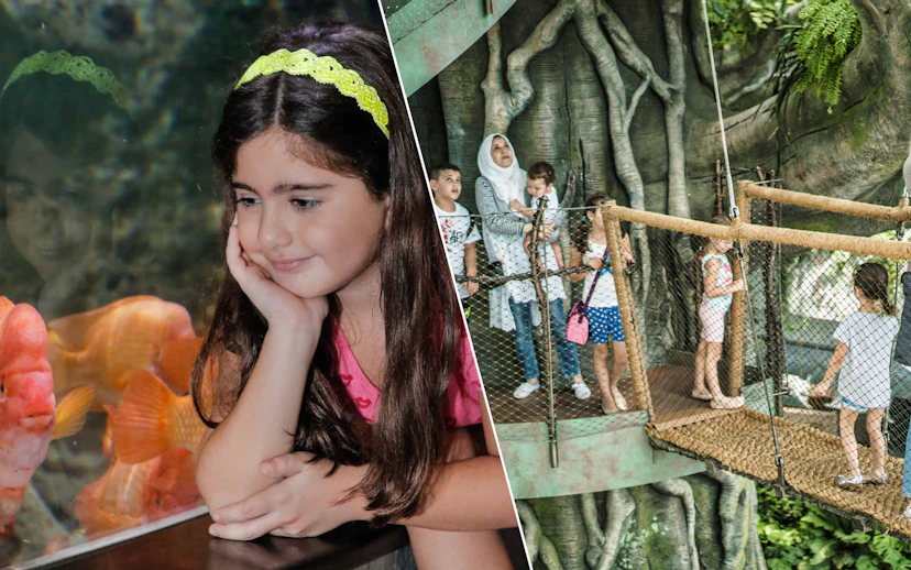 Child observing fish at Dubai Aquarium; family exploring Green Planet's treetop walkway.