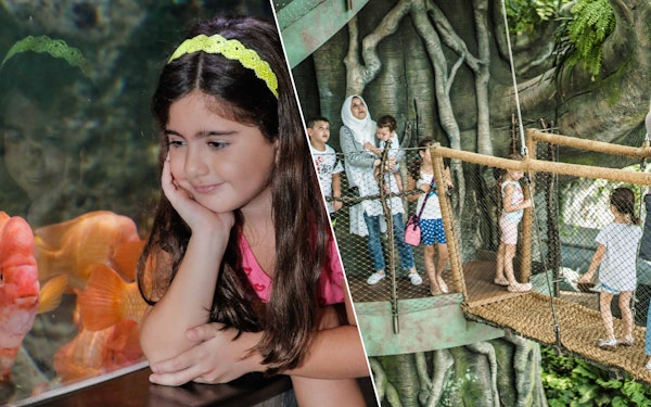Combo: Dubai Aquarium + Green Planet + Dubai Frame Tickets
