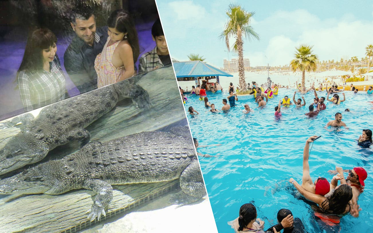 Dubai Aquarium crocodile exhibit and visitors enjoying Laguna Waterpark pool.