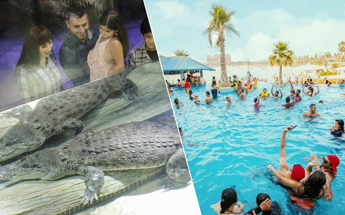 Dubai Aquarium crocodile exhibit and visitors enjoying Laguna Waterpark pool.
