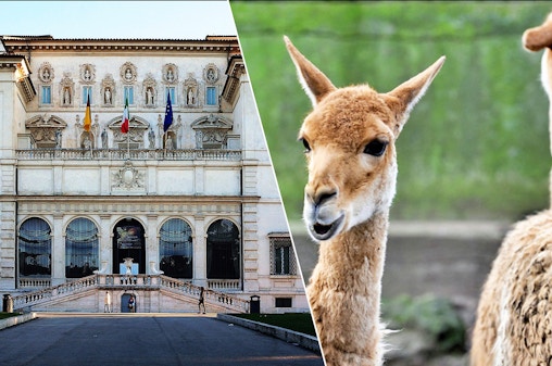 Kombinasjon: Galleria Borghese + Billetter til Roma Bioparco