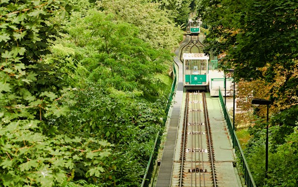 Funicular railway through lush green forest, evening view walk.